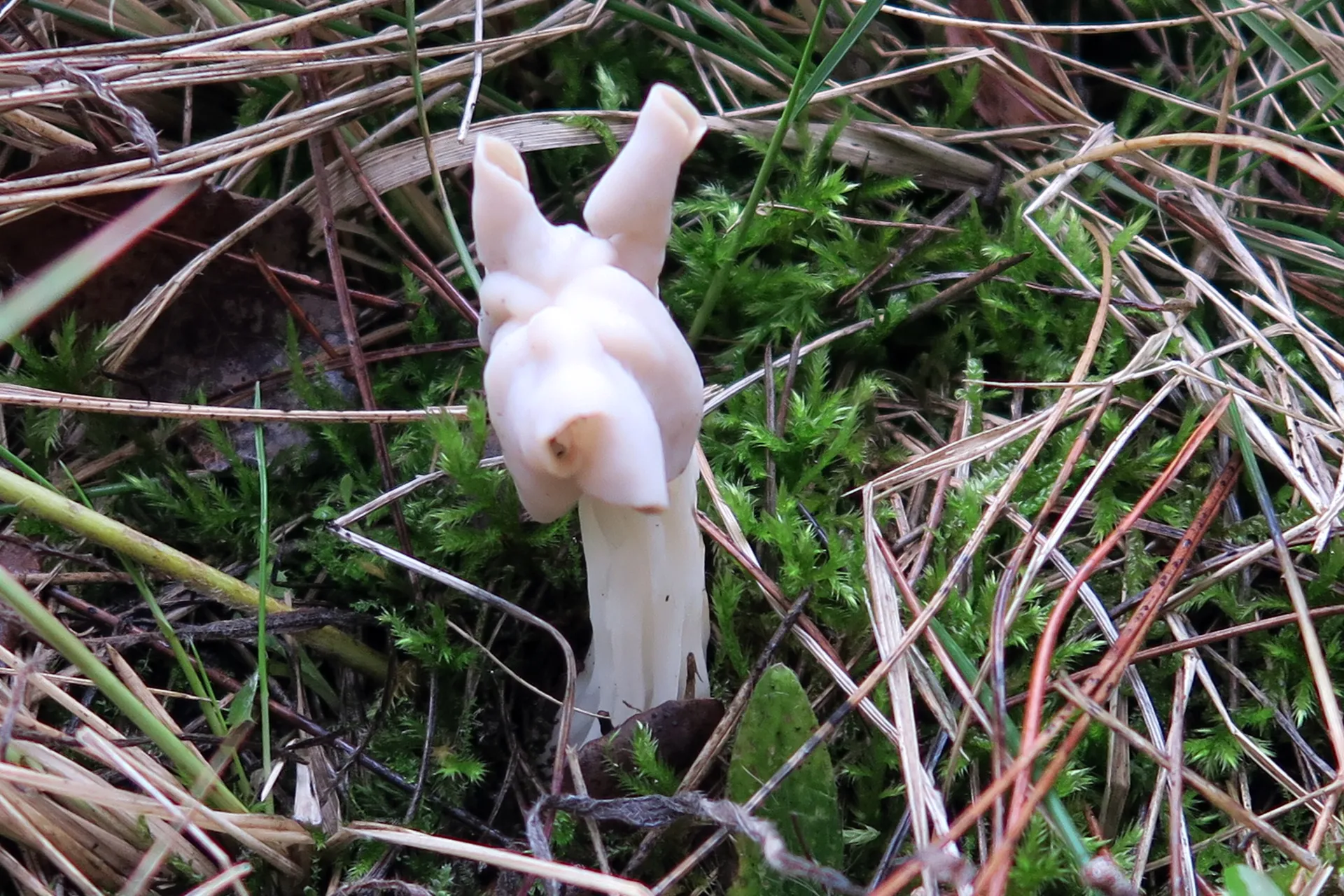 1 -